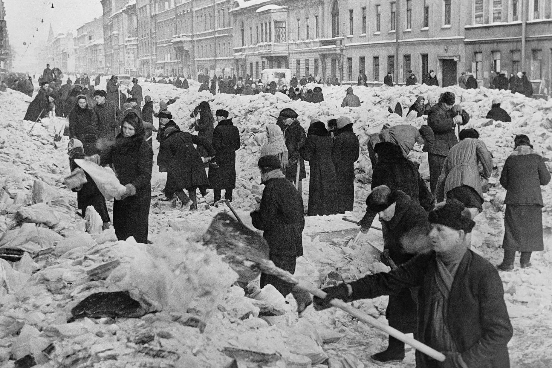 Защитники Ленинграда Защитники Ленинграда