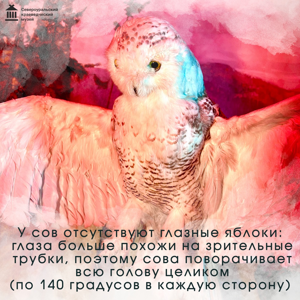 4.jpg 4.jpg