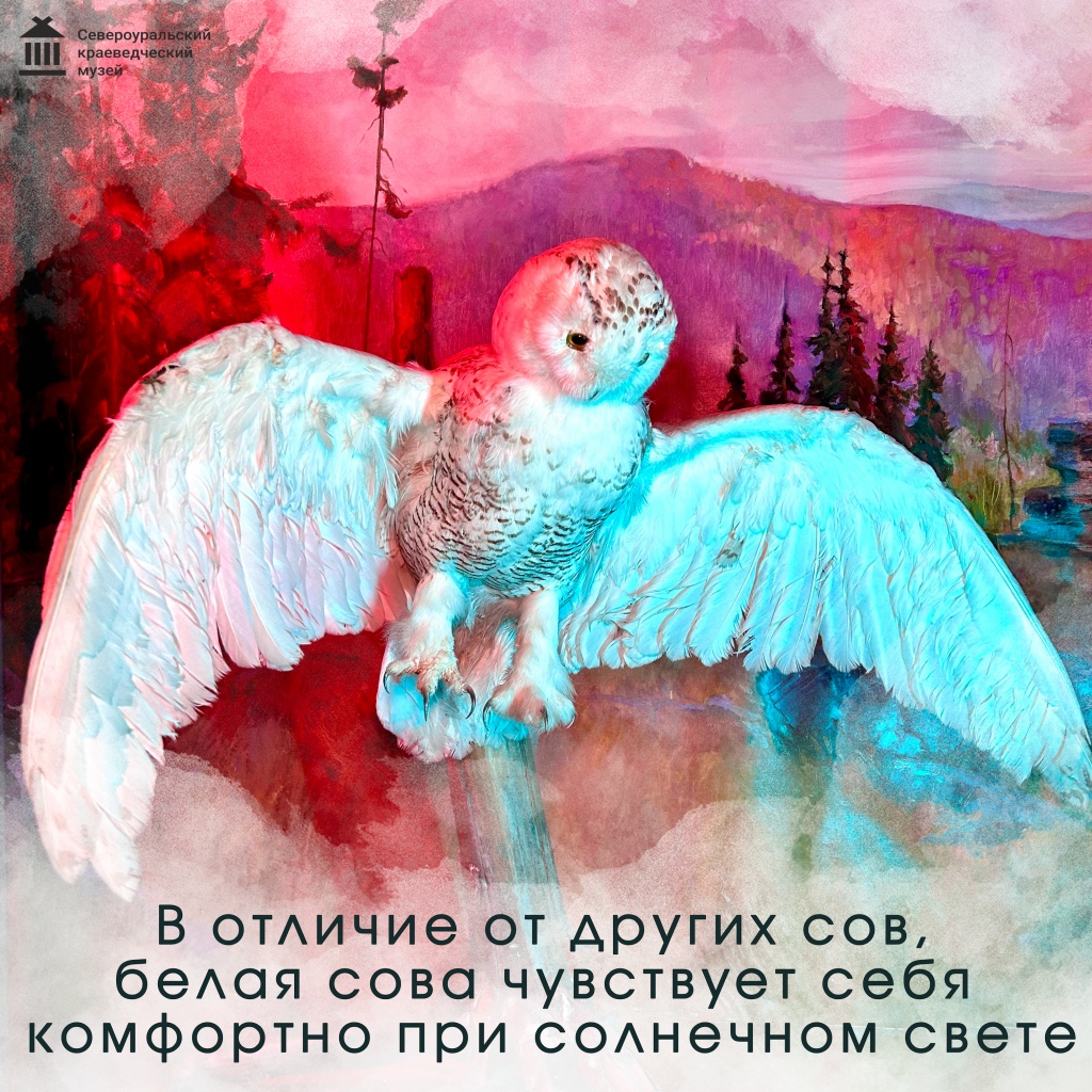 9.jpg 9.jpg