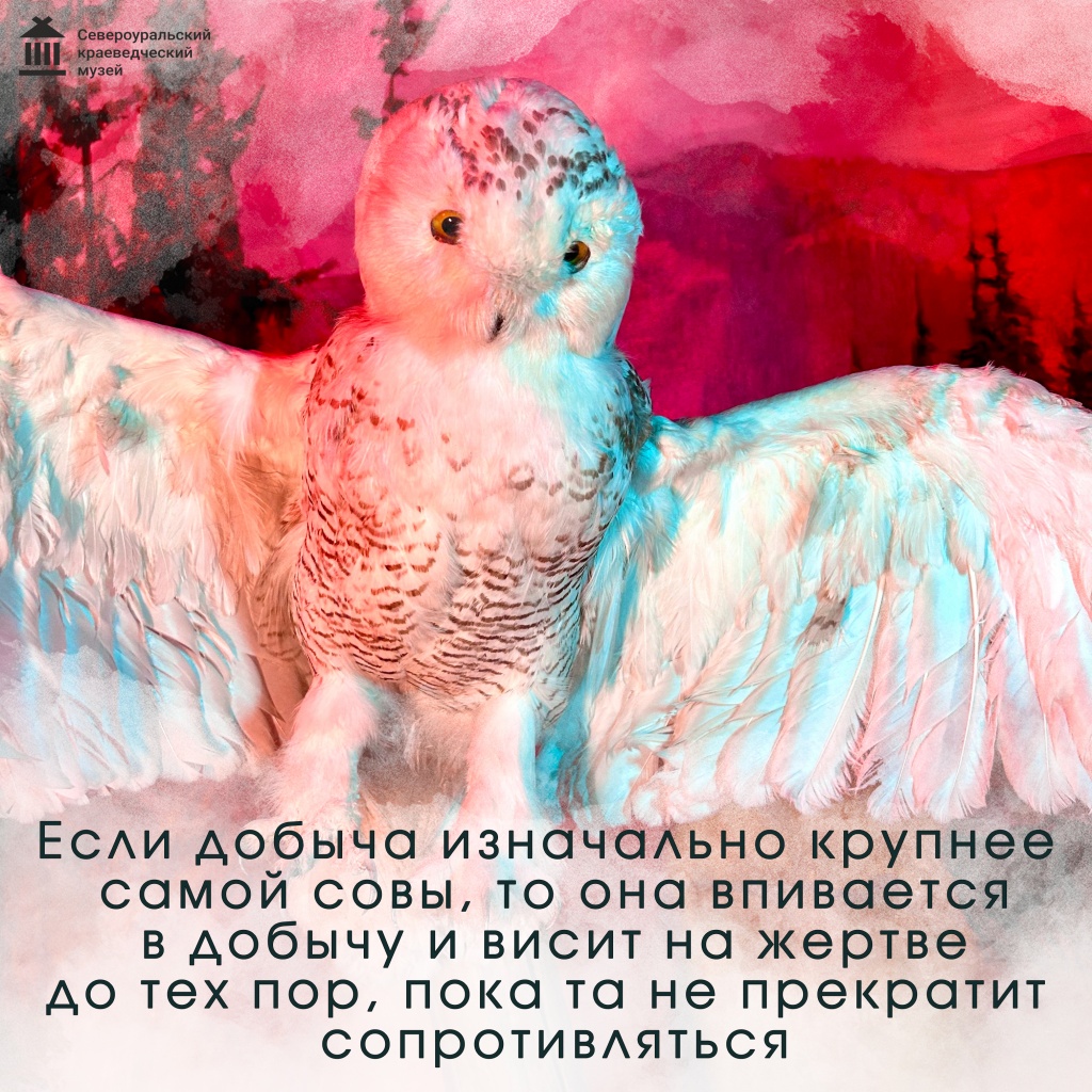 8.jpg 8.jpg