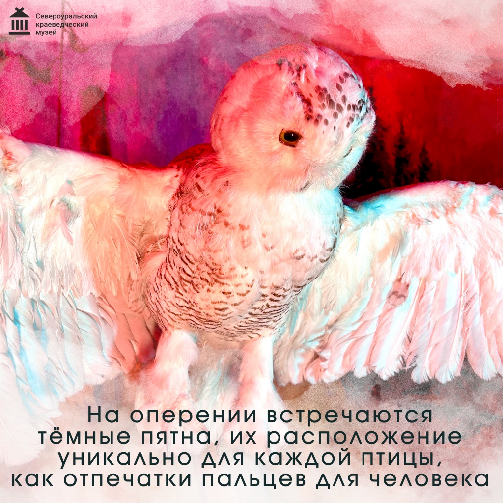 6.jpg 6.jpg