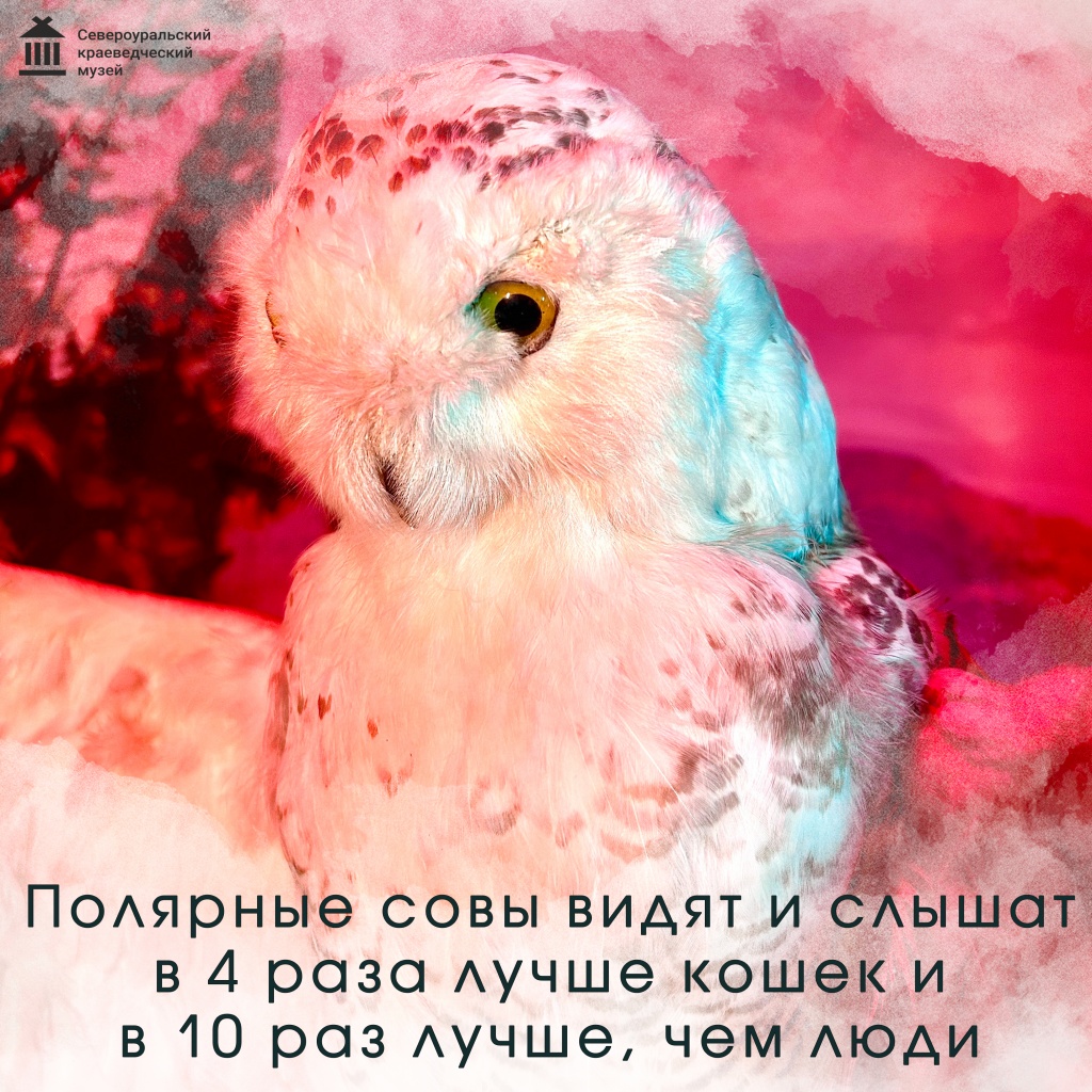 3.jpg 3.jpg