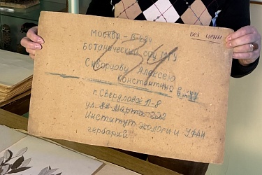 "Заповедный" гербарий